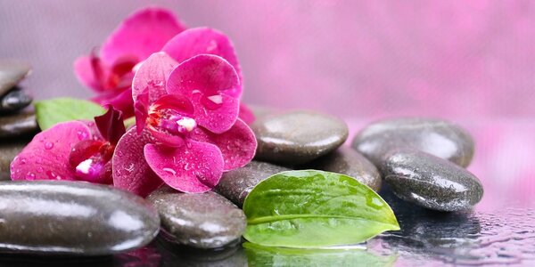 Stampa su tela – Orchidea con tocco di relax