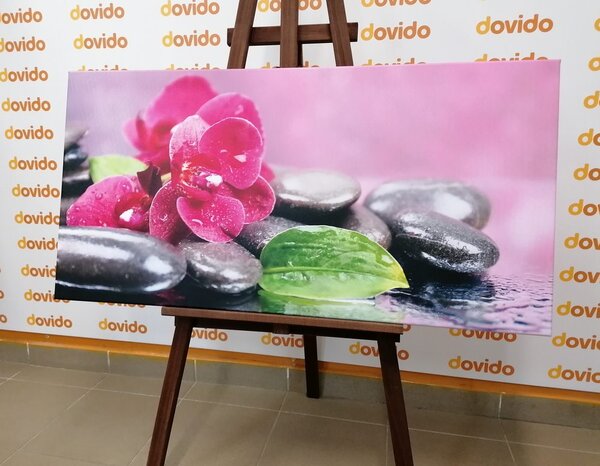 Stampa su tela – Orchidea con tocco di relax