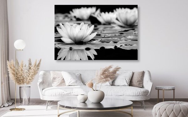 Stampa su tela – Fiore di loto in bianco e nero