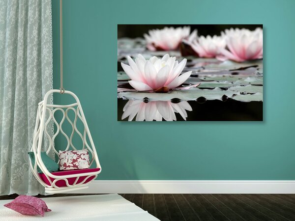 Quadro su tela – Fiore di loto