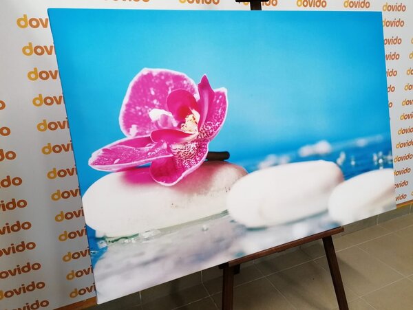 Quadro su tela – Orchidea e pietre Zen