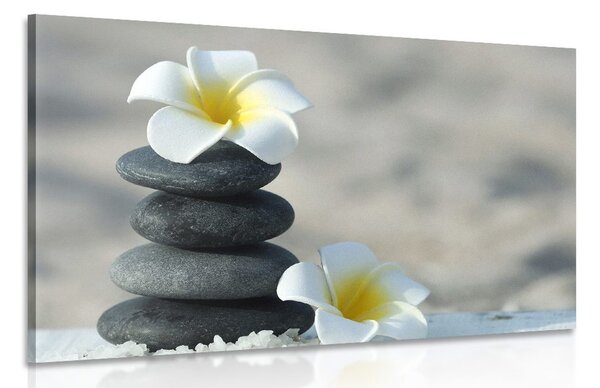 Quadro su tela – Pietre armoniche e fiore di plumeria
