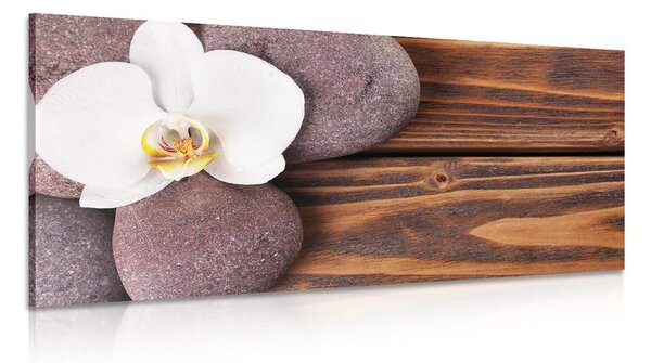 Stampa su tela – Pietre per il benessere e orchidea su sfondo di legno