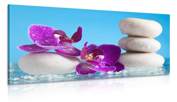 Quadro su tela – Natura morta per il benessere