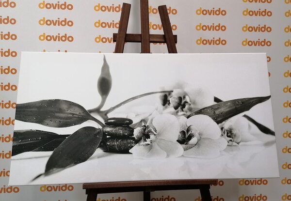 Quadro su tela – Natura morta con pietre Zen in bianco e nero