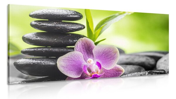 Quadro su tela – Composizione Zen tropicale