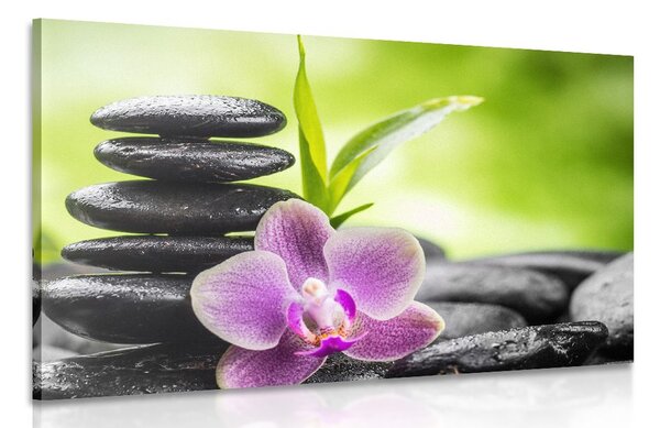 Stampa su tela – Composizione Zen meditativa