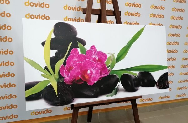 Stampa su tela – Orchidea viola in natura morta Zen