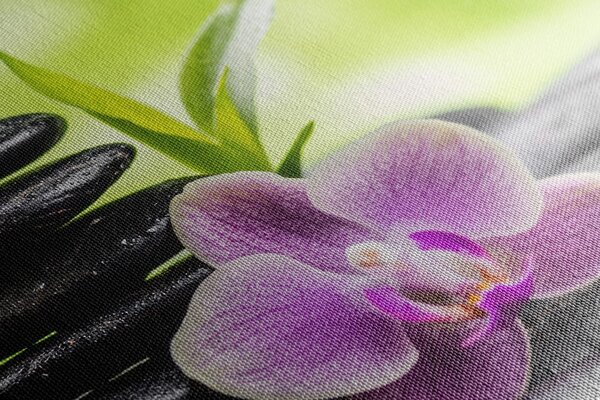 Quadro su tela – Composizione Zen tropicale