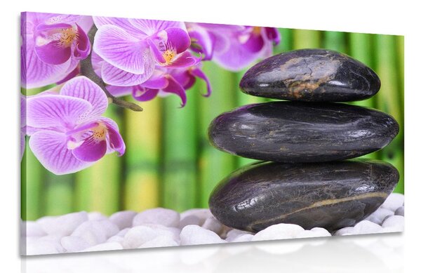 Quadro su tela – Giardino Zen giapponese