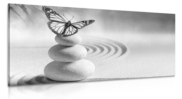 Stampa su tela – Equilibrio di pietre e farfalla in bianco e nero