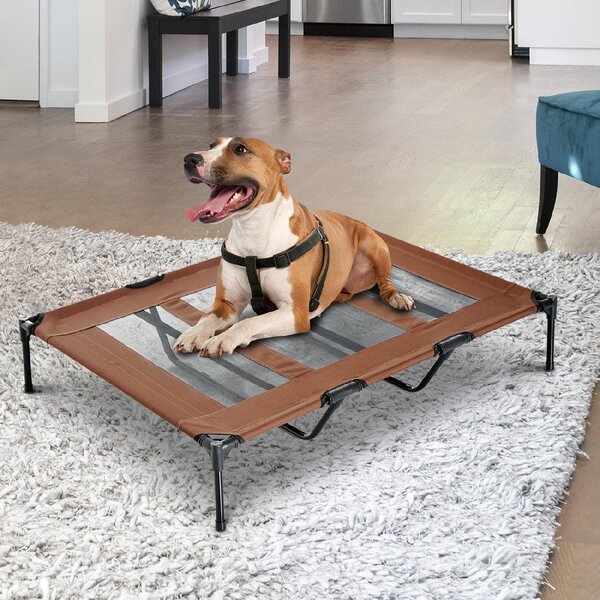 AllMyPets Brandina Cane Cuccia per Cani Taglia Grande Lettino Pieghevole in Metallo e Tessuto Oxford con Sacca di Trasporto 122x92x23cm Marrone e N