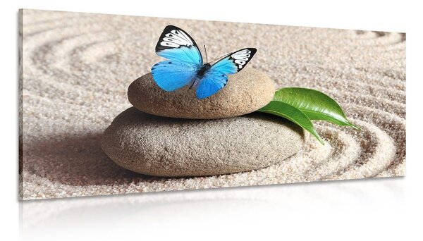Quadro su tela – Farfalla blu su pietra Zen