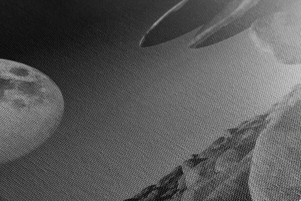Quadro su tela – Pietre impilate alla luce della luna in bianco e nero