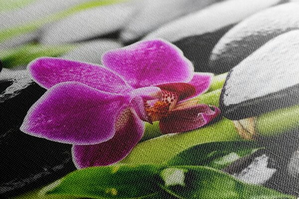 Stampa su tela – Natura morta Spa con orchidea viola