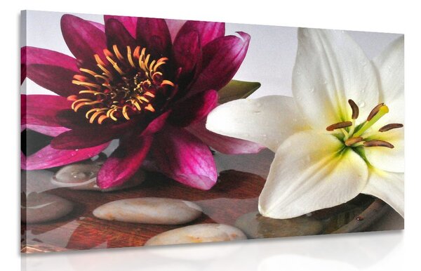 Stampa su tela – Fiori in ciotola con pietre Zen