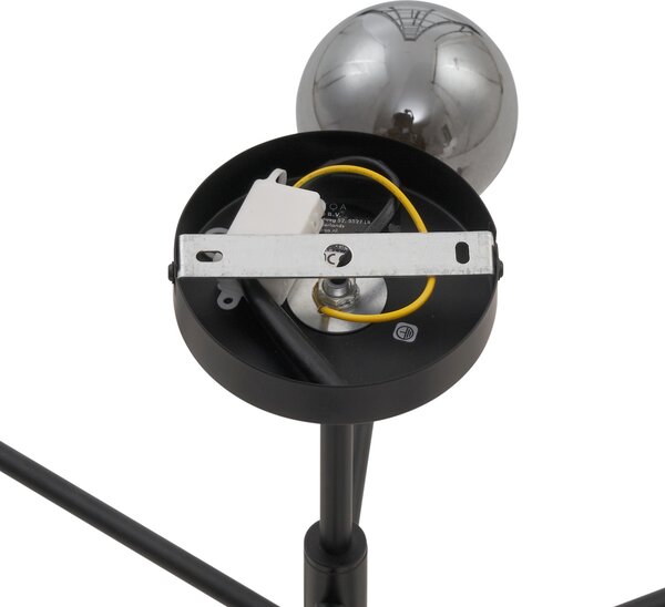 Plafoniera moderna nera con vetro fumé a 6 luci - Ryan