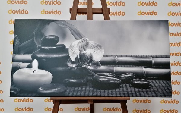 Quadro su tela – Natura morta Feng Shui in bianco e nero