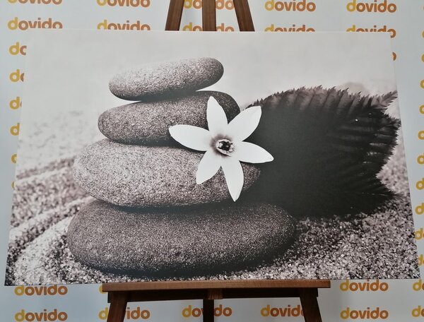 Stampa su tela – Fiore e pietre nella sabbia in bianco e nero