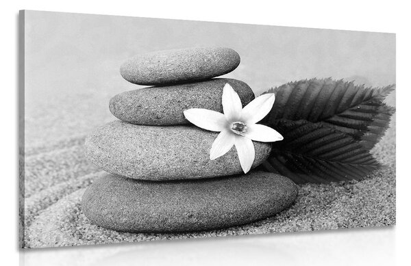Stampa su tela – Fiore e pietre nella sabbia in bianco e nero
