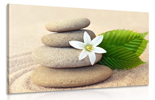 Quadro su tela – Fiore bianco e pietre nella sabbia