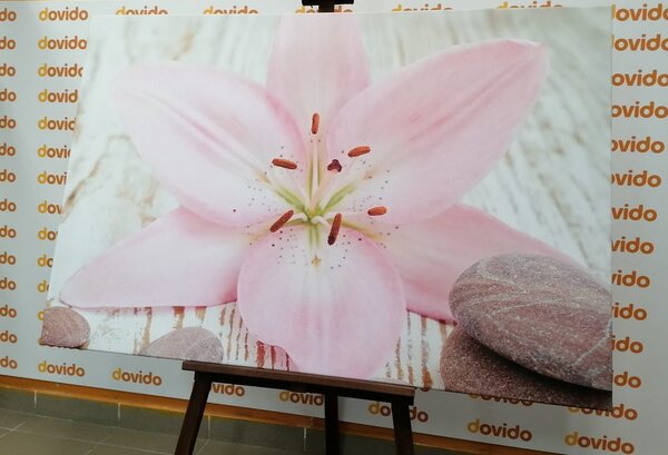 Stampa su tela – Giglio rosa e pietre zen