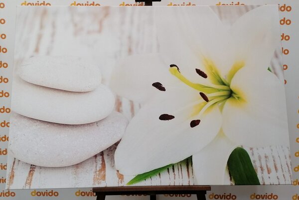 Quadro su tela – Giglio e pietre da massaggio in bianco