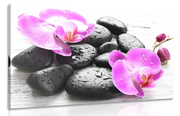 Stampa su tela – Bella armonia di pietre e orchidee