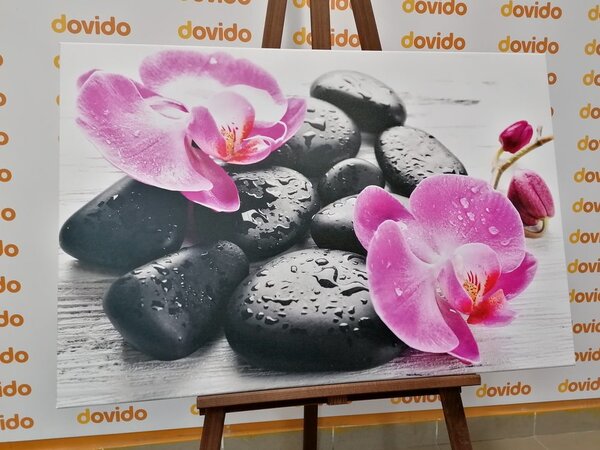 Stampa su tela – Bella armonia di pietre e orchidee