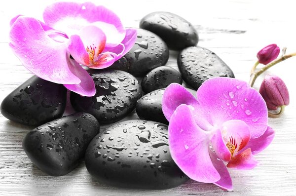 Stampa su tela – Bella armonia di pietre e orchidee