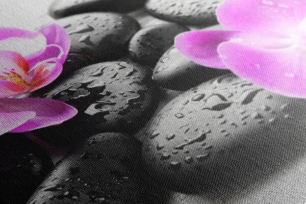 Stampa su tela – Bella armonia di pietre e orchidee