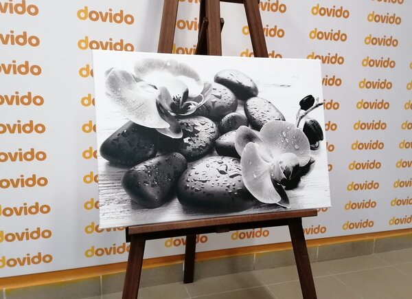 Quadro su tela – Bella armonia di pietre e orchidee in bianco e nero