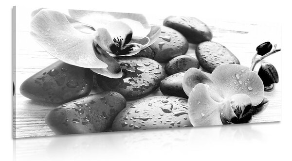 Stampa su tela – Magica armonia di pietre e orchidee in bianco e nero