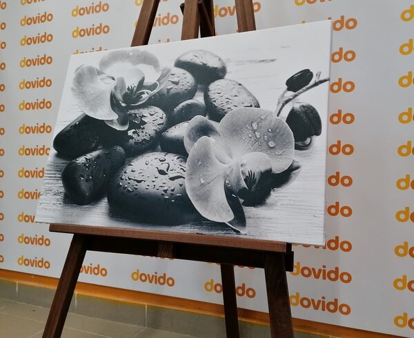 Quadro su tela – Bella armonia di pietre e orchidee in bianco e nero