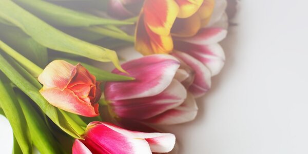 Quadro su tela – Bouquet di tulipani colorati
