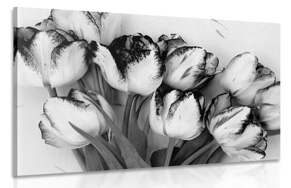 Quadro su tela – Tulipani primaverili in bianco e nero