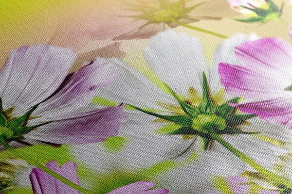 Stampa su tela – Fiori da giardino