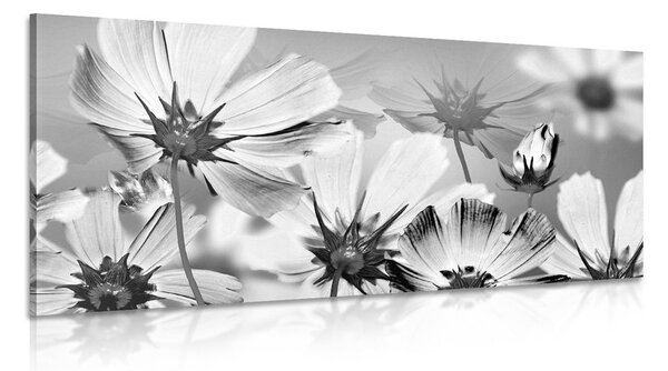 Quadro su tela – Fiori da giardino in bianco e nero