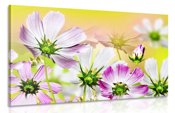 Quadro su tela – Fiori estivi