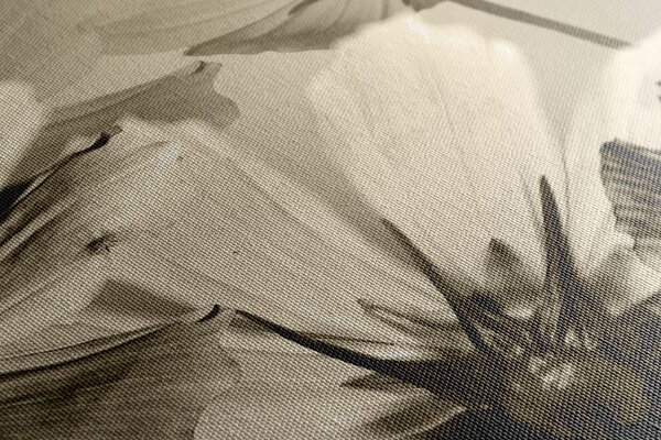 Stampa su tela – Fiori da giardino in versione seppia