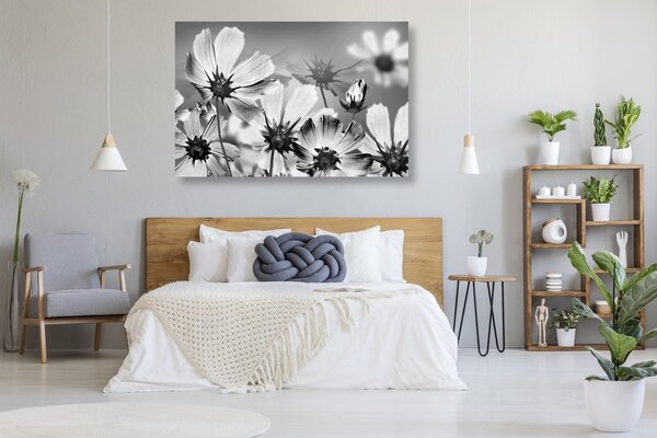 Stampa su tela – Fiori estivi in bianco e nero