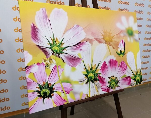 Quadro su tela – Fiori estivi