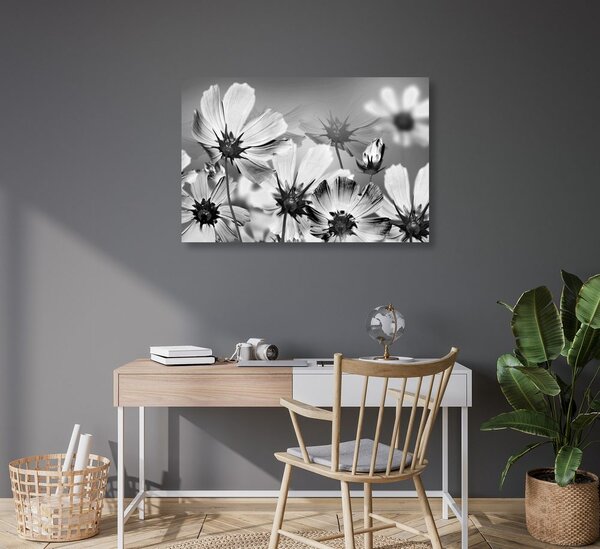 Stampa su tela – Fiori estivi in bianco e nero