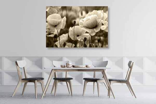 Quadro su tela – Campo di papaveri selvatici in versione seppia