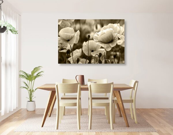 Quadro su tela – Campo di papaveri selvatici in versione seppia