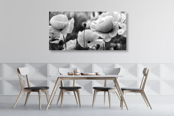 Quadro su tela – Splendido campo di papaveri in bianco e nero