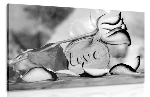Quadro su tela – Dichiarazione romantica in bianco e nero Love