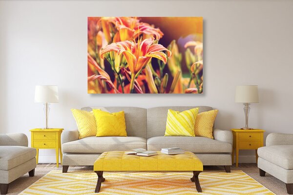 Quadro su tela – Splendidi fiori in giardino