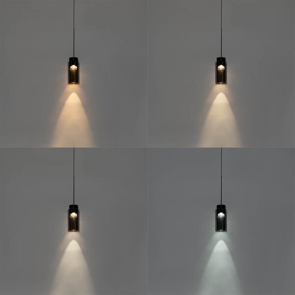 Lampada a sospensione moderna nera per sistema binario monofase con LED incluso - Magnetic Vance