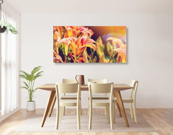 Stampa su tela – Splendidi fiori da giardino